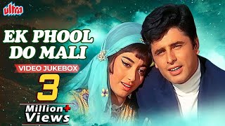 1969 me bani movie ek phool do mali ki mjedar sin fotobollywood hindichenemachenalsuscrib [upl. by Ambrosi]