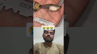 Guppy fish ka operation kar ke Bache Bahar nikale guppybreeding 1k petsvlog guppyfry pets [upl. by Eixor]