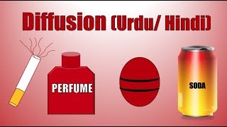 DIFFUSION REAL LIFE EXAMPLES URDUHINDI  DIFFUSION IN URDU  CLASS 9 amp 11 CHEMISTRY BIOLOGY [upl. by Nivrad]