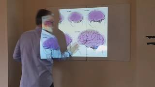 video clase N 4 A Neuroanatomía primer parte [upl. by Imray]