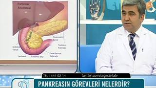 Pankreas nedir ne işe yarar [upl. by Beckman]