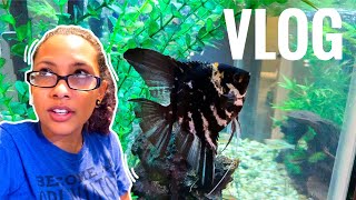 Cleaning My 55 Gallon Fish Tank  Vlog 11 [upl. by Aniez626]