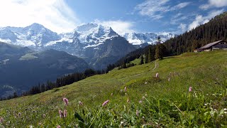 Switzerlands Jungfrau Region Best of the Alps [upl. by Atnim3]