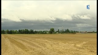 Offre demploi insolite Quetigny recherche un agriculteur bio [upl. by Sirred]