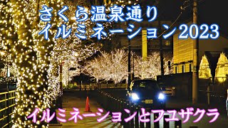 さくら温泉通りイルミネーション2023 笛吹市 ｜Sakura Onsen Street Illumination  山梨県観光スポット [upl. by Niatirb]