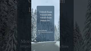 CKAD Exam Dumps – Your Ultimate Tool for Exam Success [upl. by Aniram]