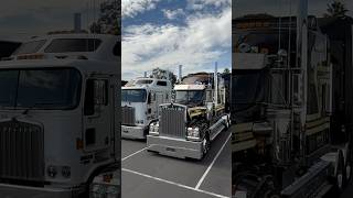 WHITEHAUL TRANSPORTS “OVER BUDGET” t909 t900 w900 [upl. by Amersham]