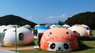 This Hotel in Japan Looks Like a Bunch of Pandas [upl. by Yhprum]