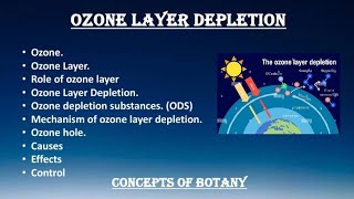 Ozone Layer Ozone Layer Depletion Causes Effects Solution Hindi Urdu Concepts of Botany [upl. by Fabiola]