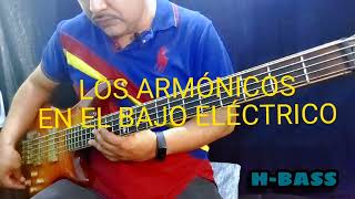 como tocar armónicos en el bajo eléctrico fácil tutorial clases de bajo eléctrico 5 cuerdas [upl. by Okimat]