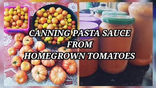 Making and canning tomato curry base passata pasta sauce from homegrown tomatoes Canuary [upl. by Nalim]