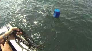 Retrieving your anchor using the float system [upl. by Shifra]