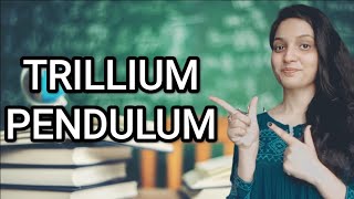 TRILLIUM PENDULUM HOMOEOPATHIC MEDICINEEXPLAINED WITH ALLEN KEYNOTES DRDEEKSHA [upl. by Lessur]