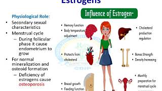 Gonadal Hormones Part 2 [upl. by Matland193]