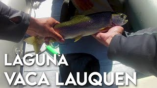 Pesca en laguna Vaca lauquen Patagonia Fly Fishing en el Norte Neuquino [upl. by Beauregard722]