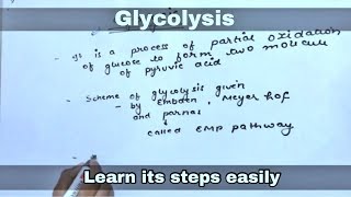 Glycolysis in hindi  biology ll [upl. by Drusus]