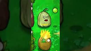 Растения против зомби прикол pvz plantsvszombies pvzfusion [upl. by Hajed]