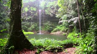 Sonido de Lluvia y los Animales del Bosque  HD Lluvia  Relajarse Dormir [upl. by Gettings]