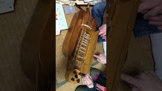 Hurdy Gurdy ハーディガーディの中身 民族楽器 [upl. by Artied]