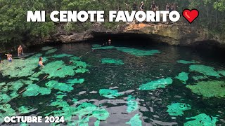 Playa Del Carmen Hoy🔴Cenote Azul Octubre 2024 [upl. by Nonnag]