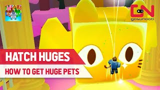 How to Get Huge Pets in Pet Simulator 99  Rebirth 2 Location amp Rewards [upl. by Asenab]