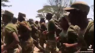 Zambia army [upl. by Callean552]