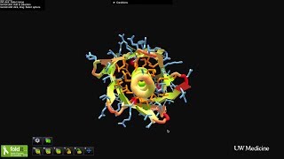 Gamers design brand new proteins using Foldit [upl. by Stuart668]