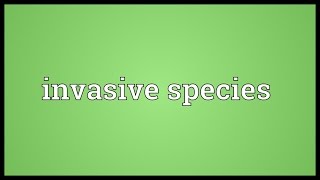 Invasive species Meaning [upl. by Banks395]