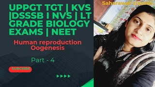 Oogenesis  Gametogenesis Human reproduction  Uppgttgtbiology  KVSpgt DSSSB NEET NVS Biology [upl. by Andeee]