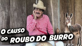 IMBILINO E AS ESTÓRIAS DO PEDRO MALAZARTES  O ROUBO DO BURRO 🫏 🤣 [upl. by Aciemaj]