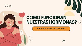 Como funcionan tus hormonas [upl. by Ateuqram49]