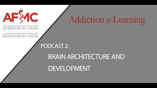 Podcast 2 Brain Architecture and Development [upl. by Ulric214]