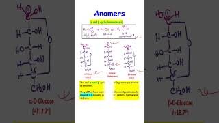 Anomers biochemistry carbohydrates biomolecule [upl. by Amrita]