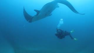 GALÁPAGOS BUCEO [upl. by Assetak]