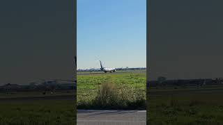 Sunwing Airlines  Royalton Luxury Resort Livery B737 Toronto to Punta Cana flightspotting yyz [upl. by Neleb75]