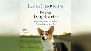 James Herriots Favorite Dog Stories  by James Herriot  Audiobook Review [upl. by Inger515]