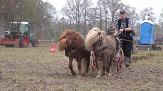 Ploegdag Hoeve Groot Zandbrink te Leusden 2019 [upl. by Maitund]