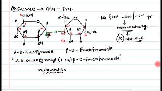 14 Disaccharides [upl. by Chui]