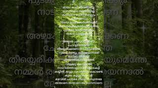 Kiliye song LyricsARM ❤️ song malayalam viralshort trending shorts youtubeshorts subscribe [upl. by Kciv]