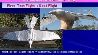 Raven38iV Swept wing by 3D printing parts  First Test Flight very Good Flight [upl. by Yelnek441]