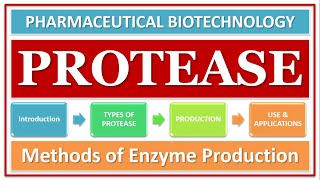 PROTEASE ENZYME  PART1  TYPES  CLASSIFICATION  ROLE OF ENZYME  FUNCTION [upl. by Ecargyram]