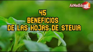 45 Beneficios de las Hojas de Stevia [upl. by Aamsa]