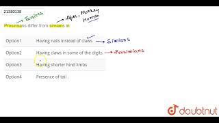 Prosimians differ from simians in [upl. by Yci]