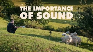 The Importance of Sound [upl. by Lana57]