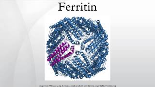 Ferritin [upl. by Mccready]