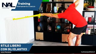 Allenamento a secco stile libero con gli elastici [upl. by Aiouqahs]