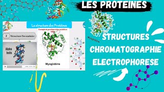 📣 Proteins Structures Techniques de séparation Chromatography Electroporesis اقوى شرح للبروتينات [upl. by Afihtan319]