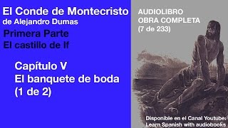 Audiolibro EL CONDE DE MONTECRISTO 7233 de Alejandro Dumas [upl. by Ecnav702]