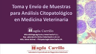 Toma y envío de muestras para análisis citopatológico en medicina veterinaria [upl. by Nemad]