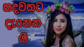 Hadawathe Sindu  New Sinhala Dj REMIX 2019 [upl. by Laban111]